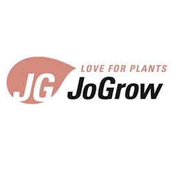 Jogrow, Kwintsheul openingstijden