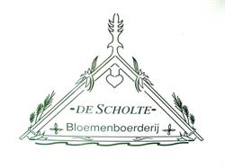 VOF De Scholte, Geesteren openingstijden