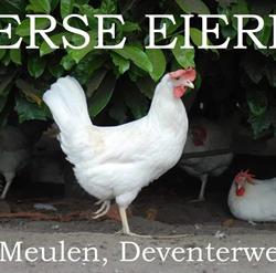 Ter Meulen Pluimvee, Laren openingstijden