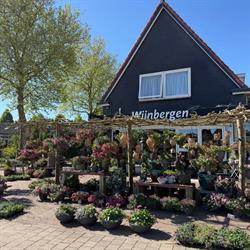 Bloemsierkunst Wijnbergen, Laren openingstijden