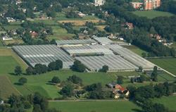 Kwekerij Arends Paterswolde C.V., openingstijden
