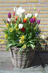 V.o.f. Van Oostwaard, Zuidbroek openingstijden