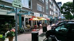 De Nieuwe Colijn, Rijswijk openingstijden