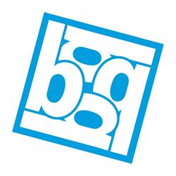 BICT Groep B.V. i.o., Naaldwijk openingstijden