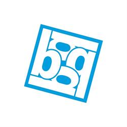BICT Groep B.V. i.o., Naaldwijk openingstijden