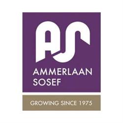 Ammerlaan-Sosef B.v., Honselersdijk openingstijden