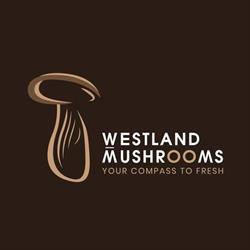 Westland Mushrooms B.v., De Lier openingstijden