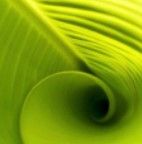 Color Art, Creative Style Design, Assendelft openingstijden