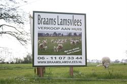 A. Braams, Foxwolde openingstijden