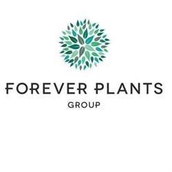 Ficus Forever Sales B.v., Honselersdijk openingstijden