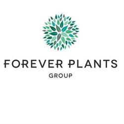 Ficus Forever Sales B.v., Honselersdijk openingstijden