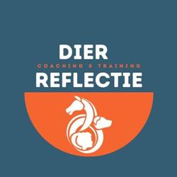 Reflections by Minke van den Bergh, Sappemeer openingstijden
