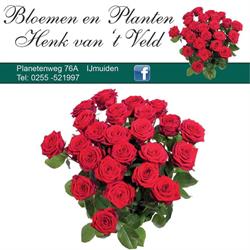 Bloemen- en Plantenshop Henk van 't Veld, IJmuiden openingstijden