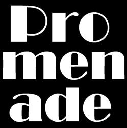 Café Promenade, Rotterdam openingstijden