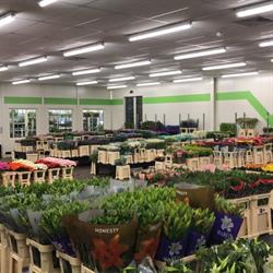Happy Flower Eelde, openingstijden