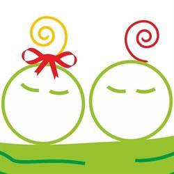 Kinderfysiotherapie- en Fysiotherapiepraktijk Van Schaik-Dijcks, Rotterdam openingstijden