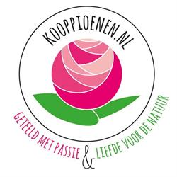 Bloemen- en Fruitkweker J.H. Beerepoot, Hoogwoud openingstijden