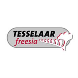 Tesselaar Freesia C.v., Heerhugowaard openingstijden