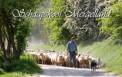 VOF Schaapskooi Mergelland, Epen openingstijden
