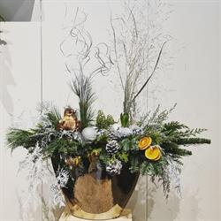 D J van Rijn jr Maas-Flora, Rotterdam openingstijden