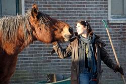 Hoeve Engelenburgh VOF, Nieuwe Niedorp openingstijden