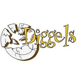 Diggels Barendrecht BV, openingstijden