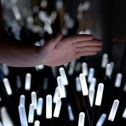 Studio Roosegaarde B.v., Rotterdam openingstijden