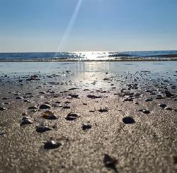 Camping `t Bullekroffie Groepsaccommodatie, B&B, Vakantiehuisjes, Vergader locatie en Mini Camping, Oudesluis openingstijden