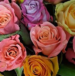 Bloem en Decoratie Sanne, Heythuysen openingstijden
