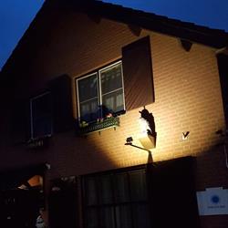 Erbuca, Nieuwstadt openingstijden