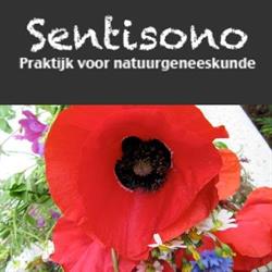 Sentisono, praktijk voor natuurgeneesk., Born openingstijden