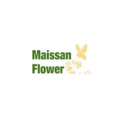 V.o.f. Maissan Flower & Partners, Rotterdam openingstijden