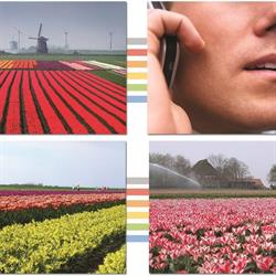 Totaalplaatje.nl VOF, Schagen openingstijden