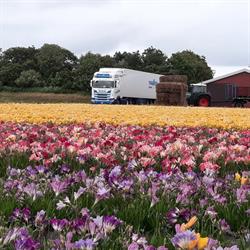 tranStam, Middenmeer openingstijden