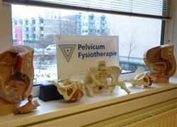 Pelvicum Fysiotherapie, Schiedam openingstijden