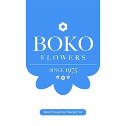 Boko Flowers, Schiedam openingstijden