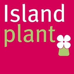 Islandplant B.v., Vierpolders openingstijden