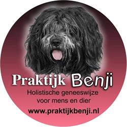 Praktijk Benji, Strijen openingstijden