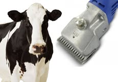 Bakker's Quality Products VOF, Loosdrecht openingstijden