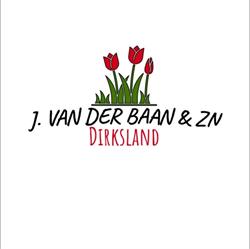Firma J. van der Baan & Zonen, Dirksland openingstijden