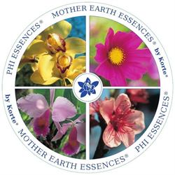 Phi Essences B.v., Belfeld openingstijden
