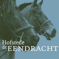 Hofstede De Eendracht, Zuid-Beijerland openingstijden