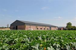 Tuinderij Beegdenhof B.v., Hunsel openingstijden