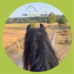 Manege Recreatieboerderij "De Boschhoeve" Met Ondersteunende Horeca, Soerendonk openingstijden