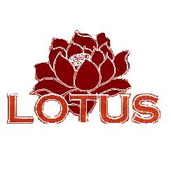 Chinees Indisch Restaurant Lotus, Spijkenisse openingstijden