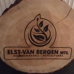 Boomkwekerij Elst-van Bergen Maatschap, Wernhout openingstijden
