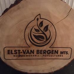 Boomkwekerij Elst-van Bergen Maatschap, Wernhout openingstijden