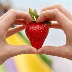 Het Aardbeienterras, Rijsbergen openingstijden