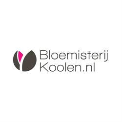Koolen V.O.F., Breda openingstijden