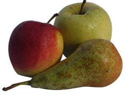 Even Fruit Halen V.o.f., Den Dungen openingstijden